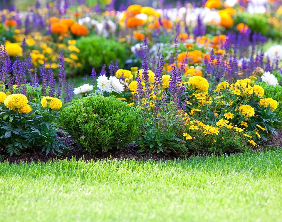 Lawn Mowing Services